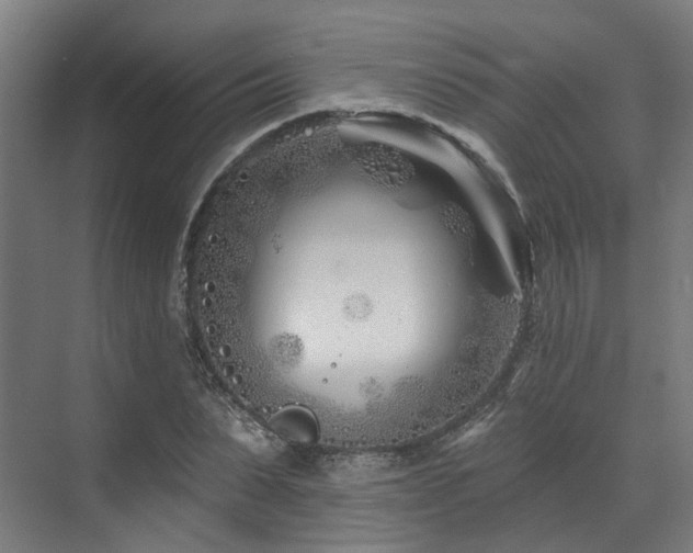 X0000073420879200607281150