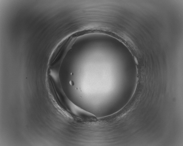 X0000073420880200607281150