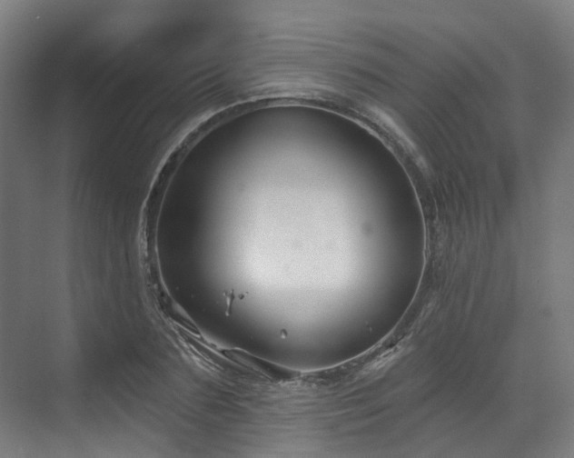 X0000073420883200607281149