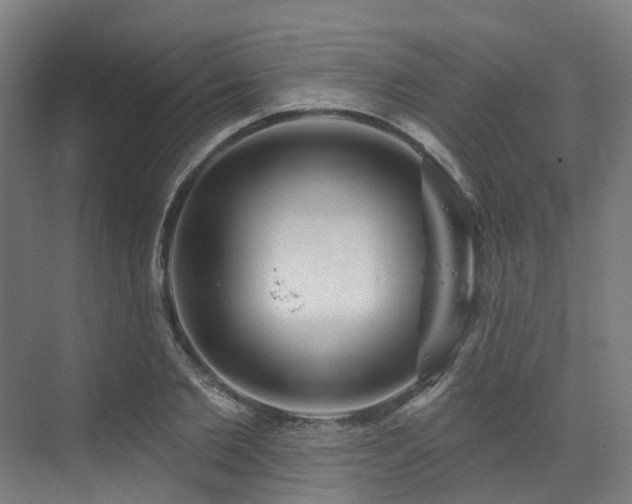 X0000073420885200607281149