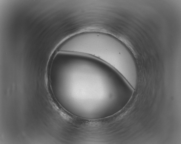 X0000073420888200607281149