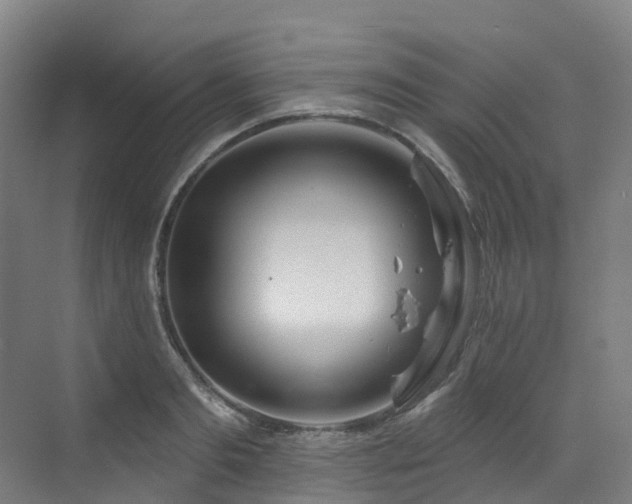 X0000073420893200607281149