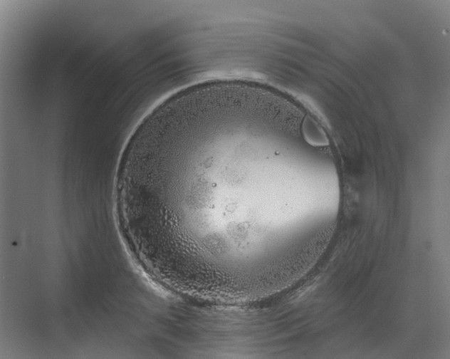 X0000073420895200607281149