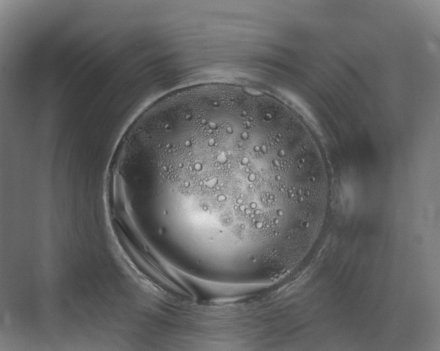 X0000073420899200607281149