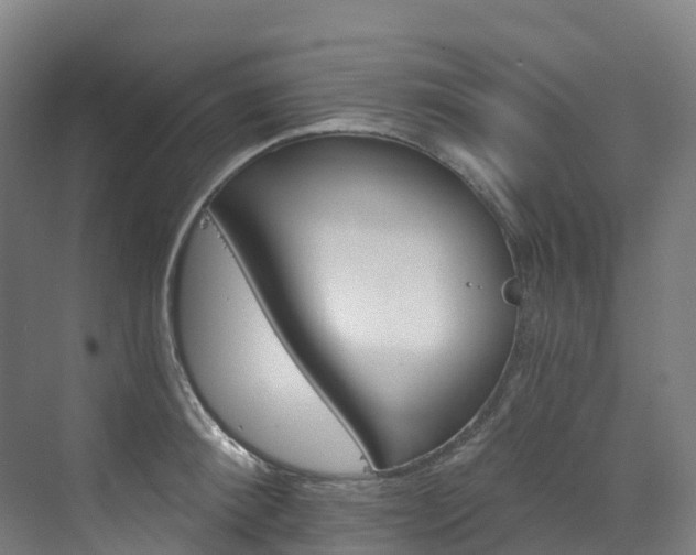 X0000073420900200607281149