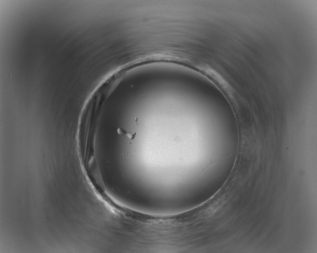 X0000073420902200607281149