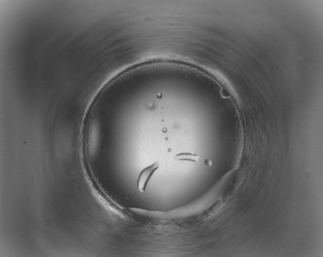 X0000073420903200607281149