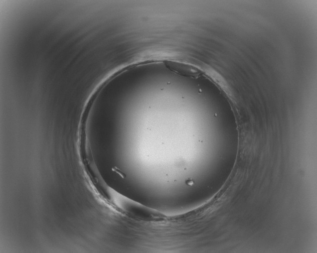 X0000073420904200607281149