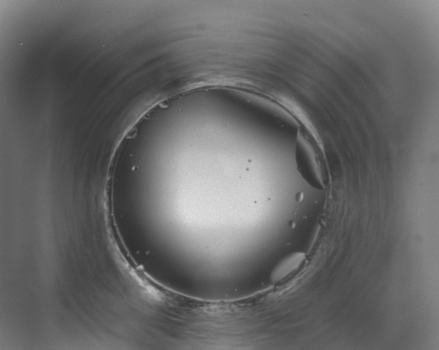 X0000073420906200607281149