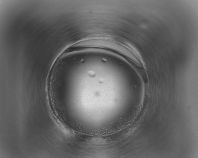 X0000073420907200607281149