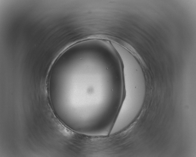 X0000073420908200607281149