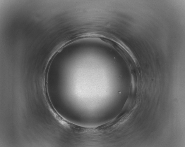 X0000073420909200607281149