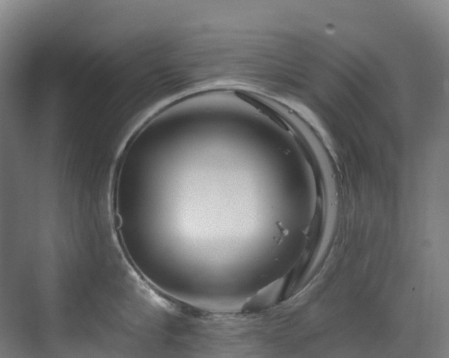 X0000073420910200607281149