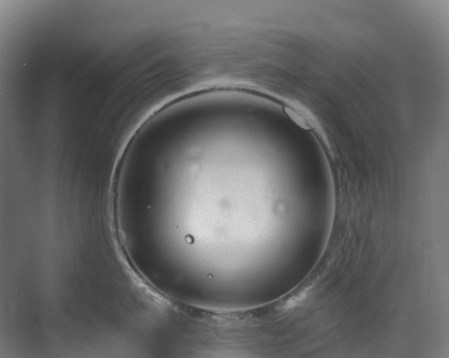 X0000073420911200607281149