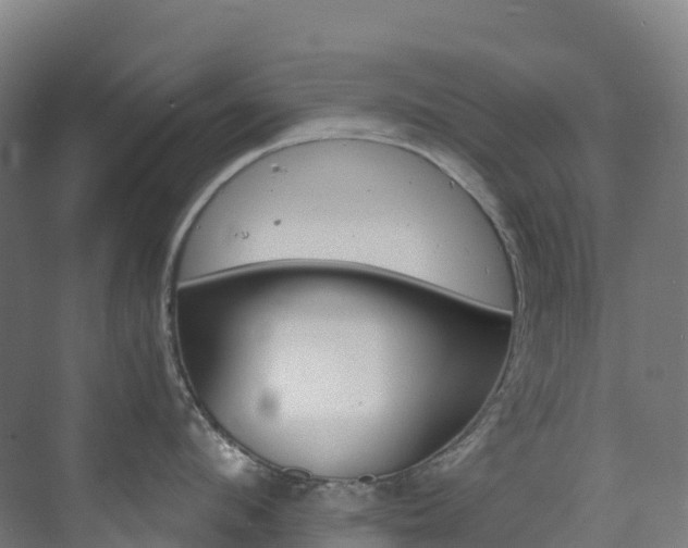 X0000073420912200607281149