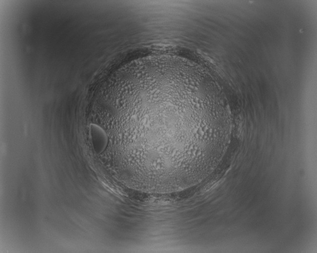 X0000073420913200607281148