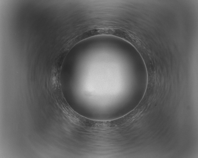 X0000073420914200607281148
