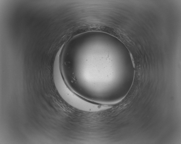X0000073420916200607281148