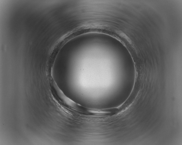 X0000073420922200607281148