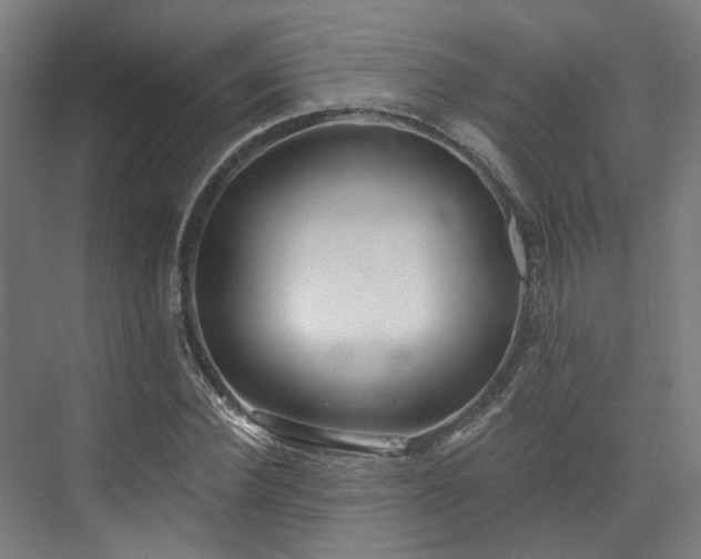 X0000073420924200607281148