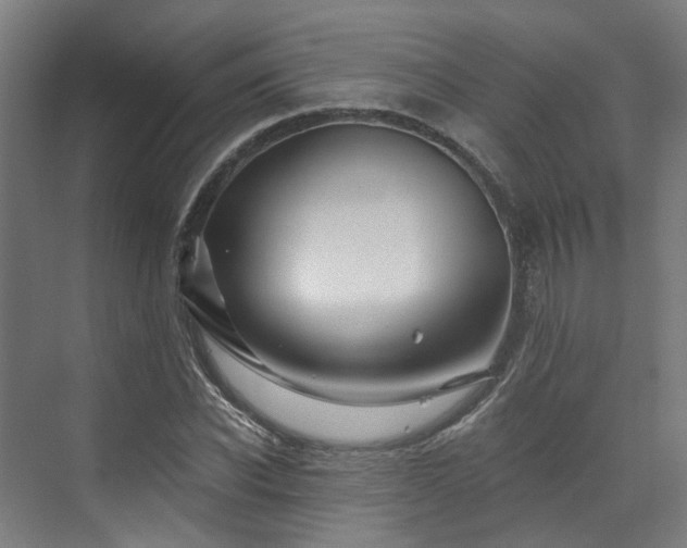 X0000073420926200607281148