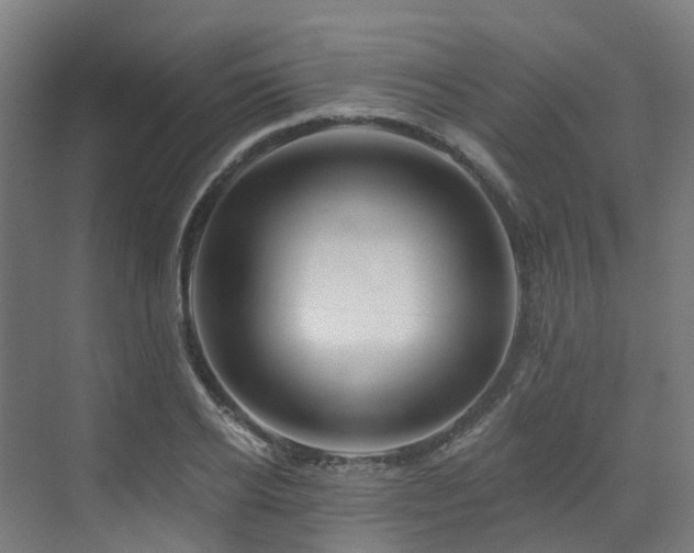 X0000073420934200607281149