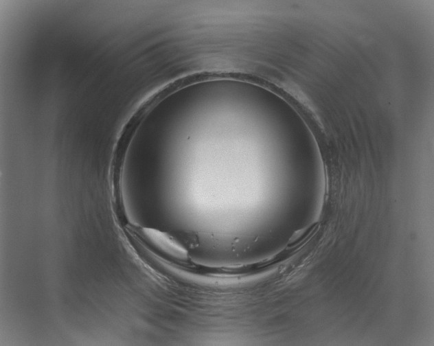 X0000073420935200607281149