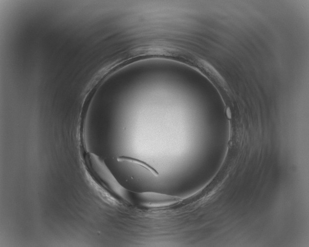 X0000073420938200607281149