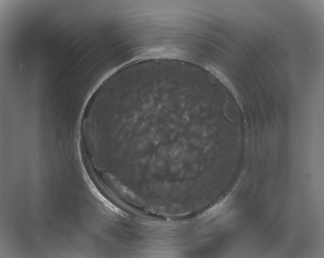 X0000073420941200607281149