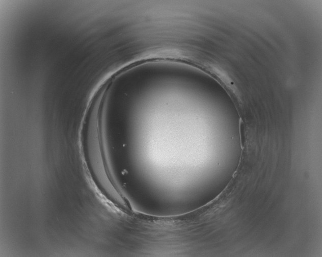 X0000073420944200607281149