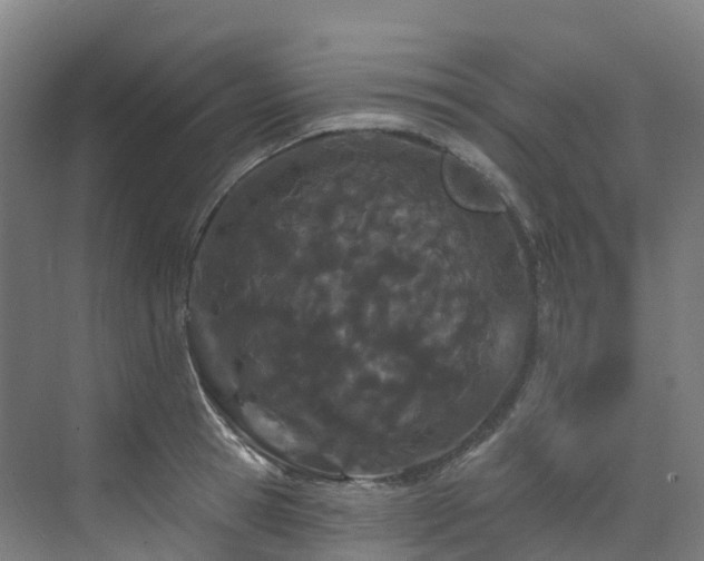 X0000073420945200607281149