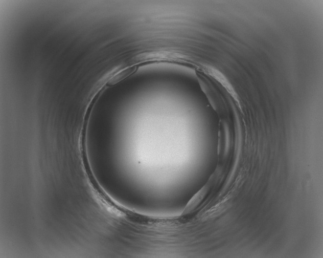 X0000073420946200607281149