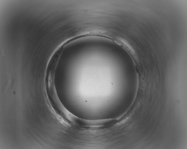 X0000073420948200607281149