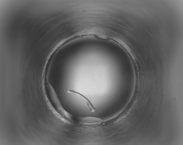 X0000073420949200607281149