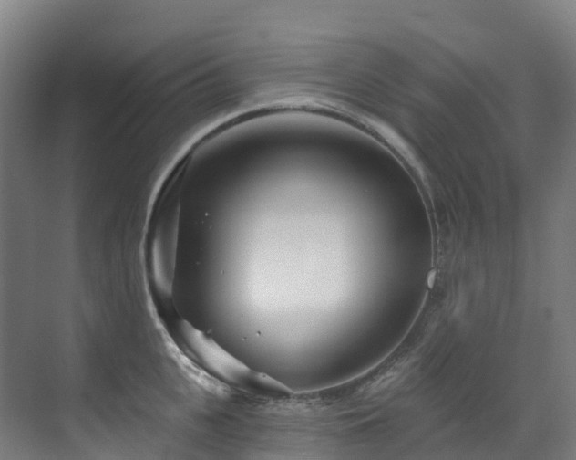 X0000073420951200607281149