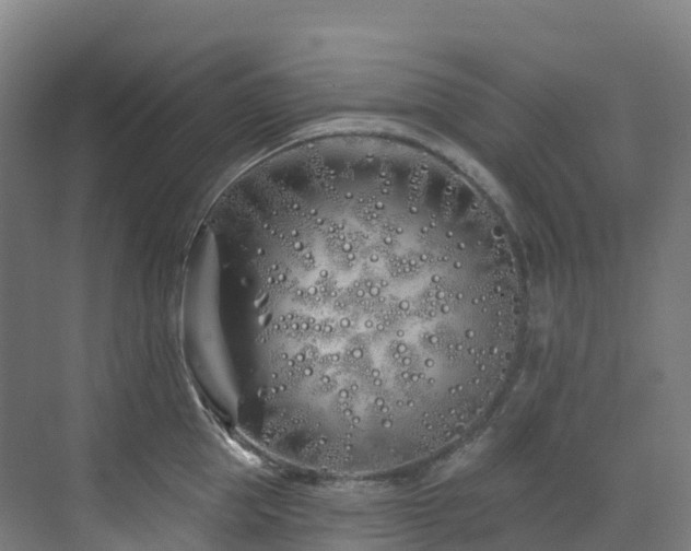 X0000073420953200607281149