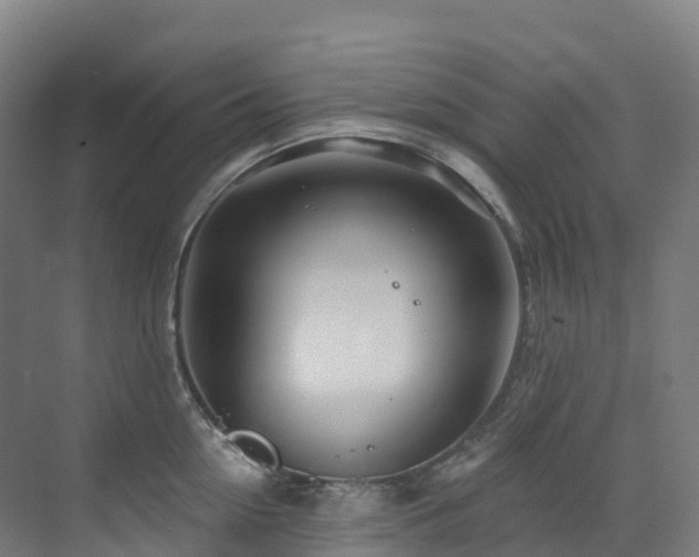 X0000073420954200607281149