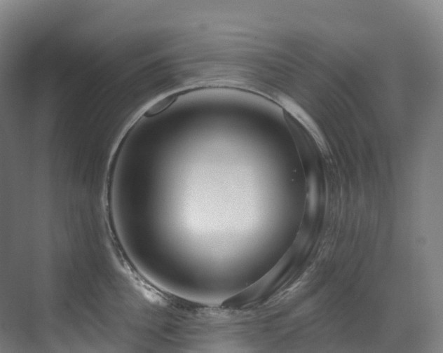 X0000073420956200607281149