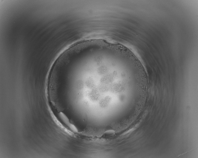 X0000073420957200607281149