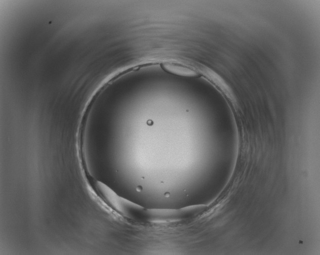 X0000073420958200607281149