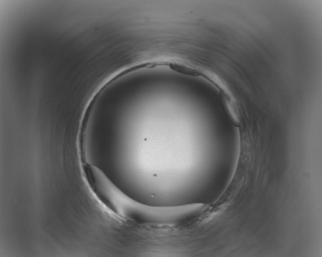 X0000073420959200607281149