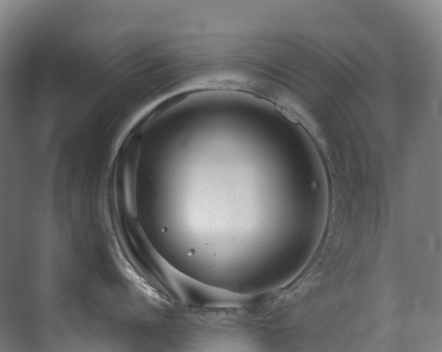 X0000073420960200607281149