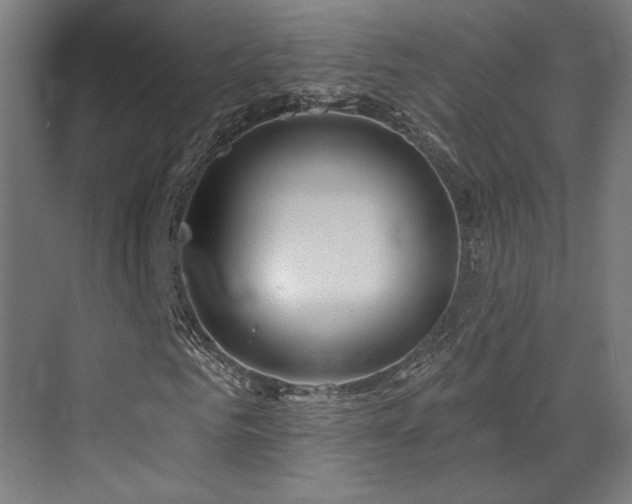 X0000073420961200607281148