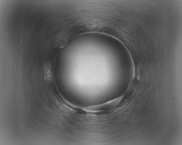 X0000073420963200607281148
