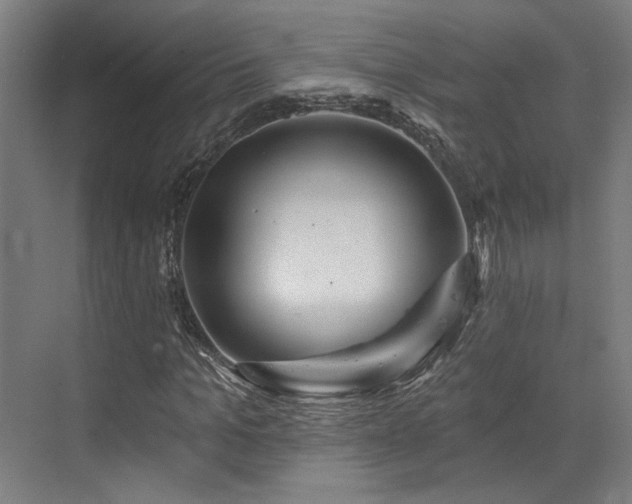 X0000073420965200607281148