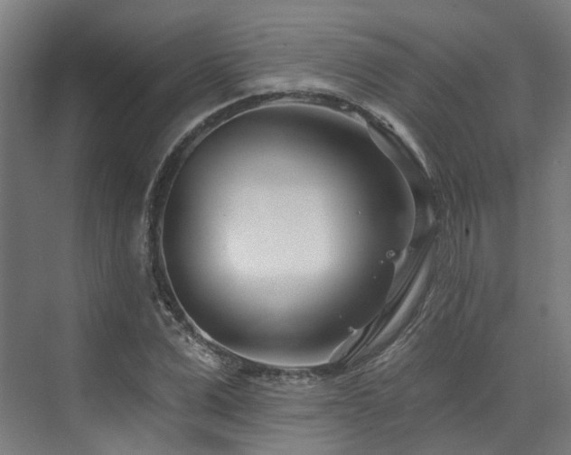 X0000073420975200607281148