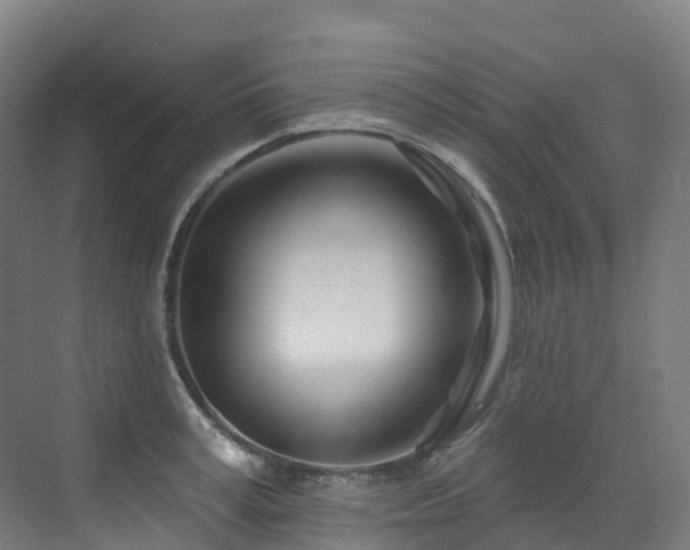 X0000073420995200607281148