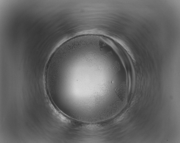X0000073420998200607281148