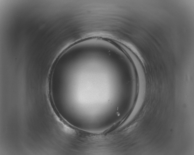 X0000073420999200607281147