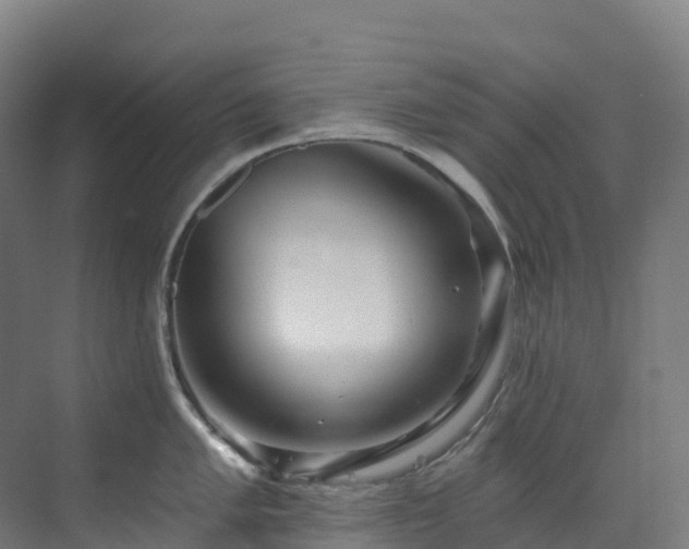 X0000073421005200607281147
